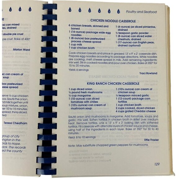 A Place Called Hope Arkansas Junior Auxiliary Cookbook Recipes 1993 Spiral Bound - Picture 9 of 13